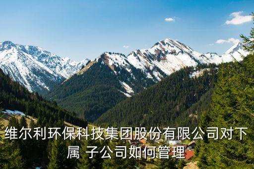 維爾利環(huán)?？萍技瘓F(tuán)股份有限公司對(duì)下屬 子公司如何管理