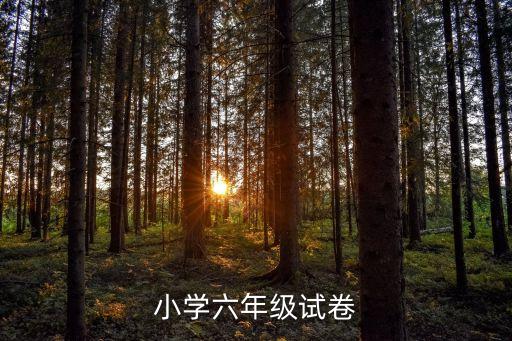 小學六年級試卷
