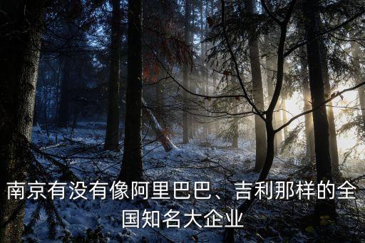 南京有沒有像阿里巴巴、吉利那樣的全國知名大企業(yè)