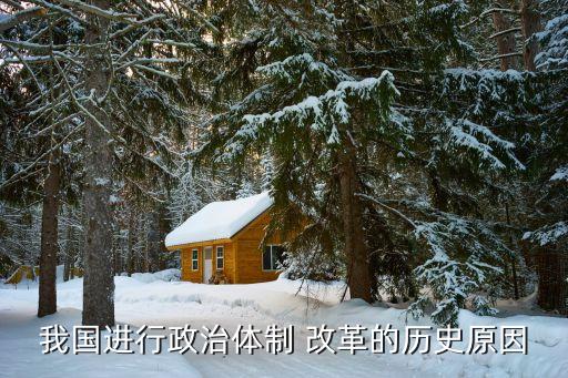 我國進(jìn)行政治體制 改革的歷史原因
