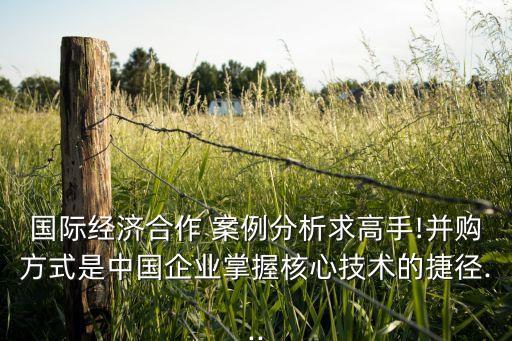 國際經(jīng)濟(jì)合作 案例分析求高手!并購方式是中國企業(yè)掌握核心技術(shù)的捷徑...