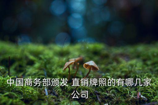 中國商務部頒發(fā) 直銷牌照的有哪幾家 公司