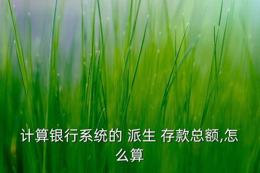 計算銀行系統的 派生 存款總額,怎么算