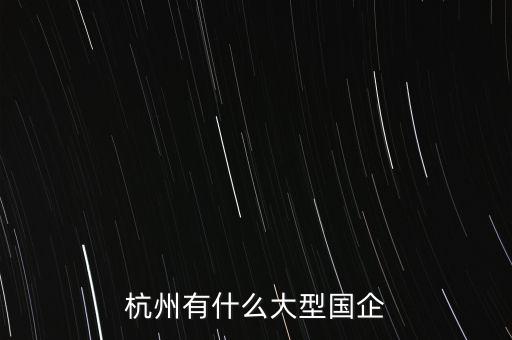 杭州有什么大型國企