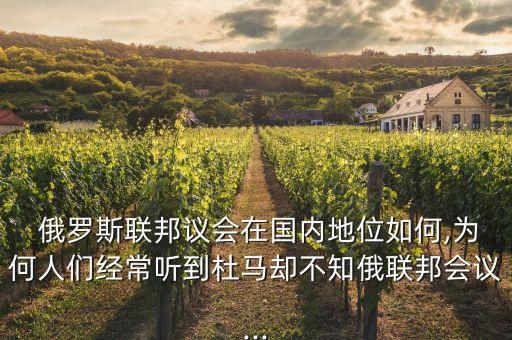  俄羅斯聯(lián)邦議會(huì)在國(guó)內(nèi)地位如何,為何人們經(jīng)常聽到杜馬卻不知俄聯(lián)邦會(huì)議...