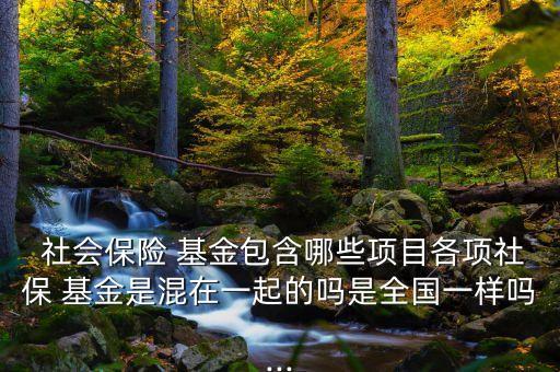  社會保險 基金包含哪些項目各項社保 基金是混在一起的嗎是全國一樣嗎...