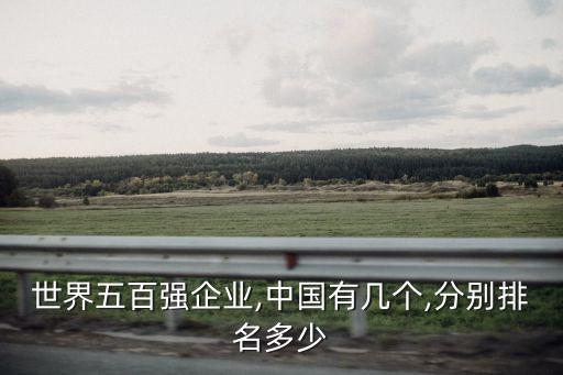 世界五百?gòu)?qiáng)企業(yè),中國(guó)有幾個(gè),分別排名多少