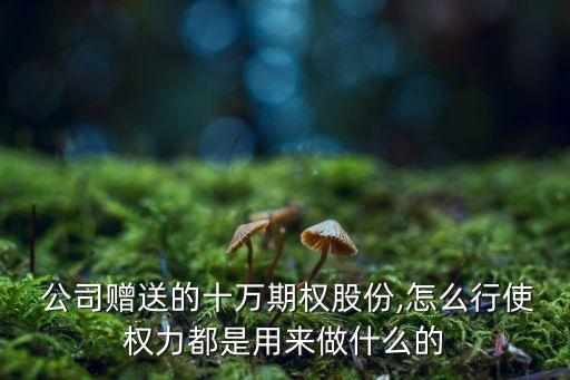  公司贈(zèng)送的十萬期權(quán)股份,怎么行使權(quán)力都是用來做什么的