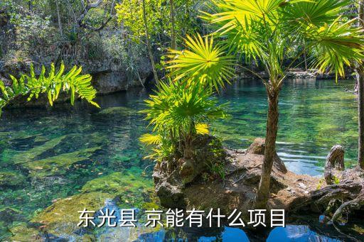 東光縣 京能有什么項(xiàng)目