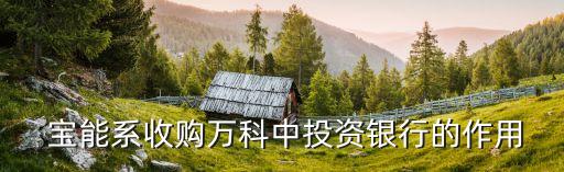  寶能系收購(gòu)萬(wàn)科中投資銀行的作用