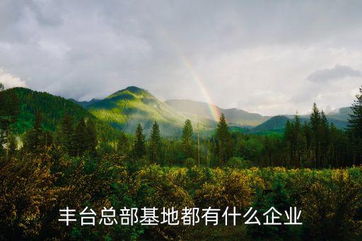 豐臺總部基地都有什么企業(yè)