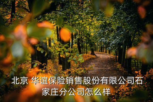  北京 華誼保險銷售股份有限公司石家莊分公司怎么樣