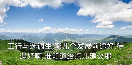 工行與選調(diào)生,哪兒個發(fā)展前途好,待遇好啊,誰知道給點兒建議那