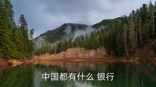 中國都有什么 銀行