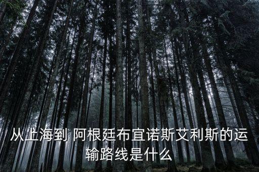 中國(guó)中車(chē)阿根廷,中車(chē)阿根廷制造公司