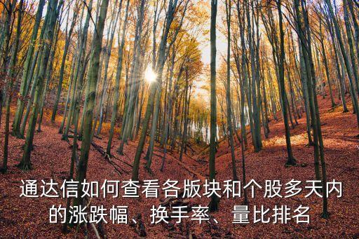  通達(dá)信如何查看各版塊和個(gè)股多天內(nèi)的漲跌幅、換手率、量比排名