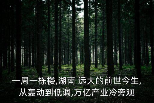 一周一棟樓,湖南 遠大的前世今生,從轟動到低調,萬億產(chǎn)業(yè)冷旁觀
