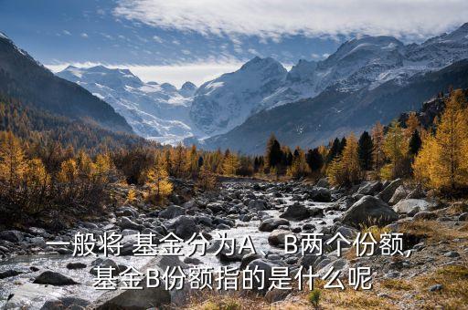 一般將 基金分為A、B兩個份額, 基金B(yǎng)份額指的是什么呢