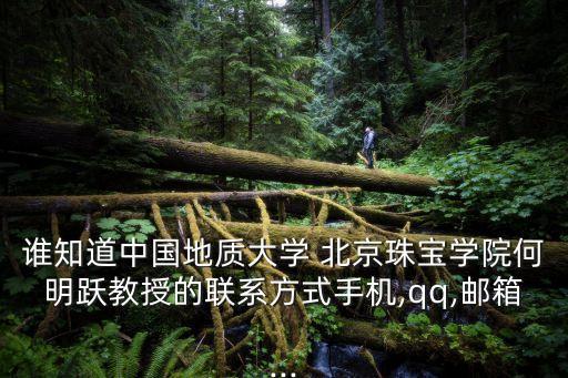 誰知道中國(guó)地質(zhì)大學(xué) 北京珠寶學(xué)院何明躍教授的聯(lián)系方式手機(jī),qq,郵箱...