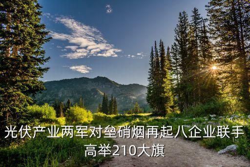 光伏產業(yè)兩軍對壘硝煙再起八企業(yè)聯手高舉210大旗