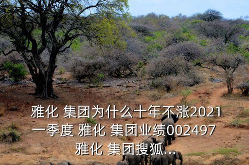  雅化 集團為什么十年不漲2021一季度 雅化 集團業(yè)績002497 雅化 集團搜狐...