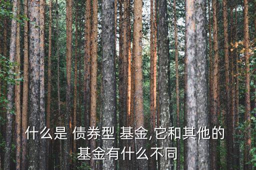 什么是 債券型 基金,它和其他的 基金有什么不同