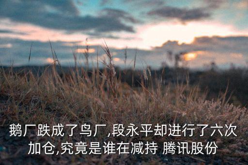 騰訊股票起伏,股票起起伏伏的心情
