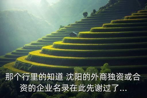 中國(guó)沈陽國(guó)際經(jīng)濟(jì)技術(shù)合作公司怎么樣,江西國(guó)際經(jīng)濟(jì)技術(shù)合作公司