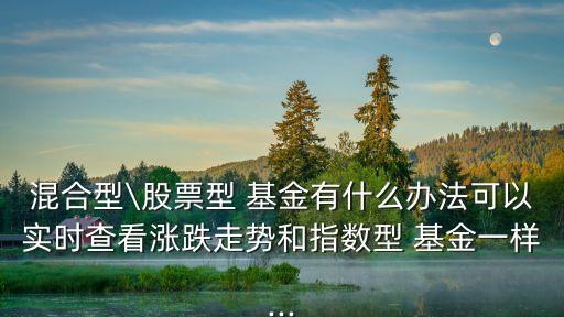 混合型\股票型 基金有什么辦法可以實時查看漲跌走勢和指數型 基金一樣...