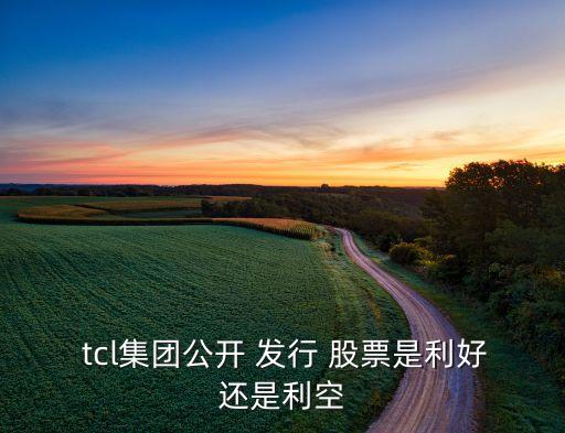  tcl集團(tuán)公開 發(fā)行 股票是利好還是利空