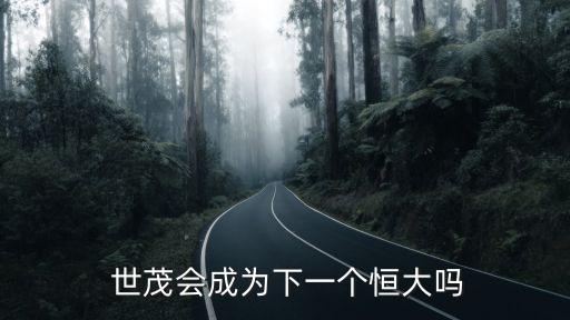  世茂會成為下一個恒大嗎