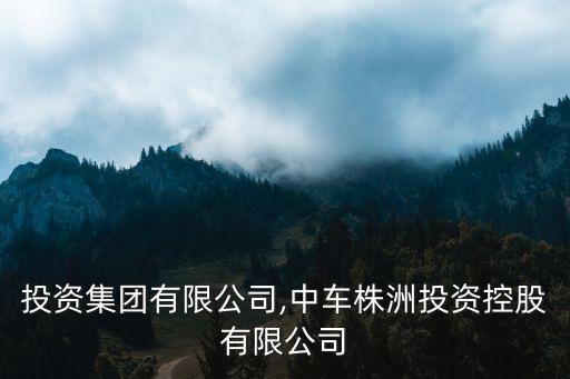 中車投資集團(tuán)有限公司,中車株洲投資控股有限公司