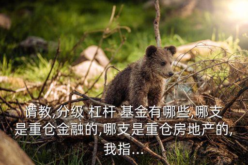 請教,分級 杠桿 基金有哪些,哪支是重倉金融的,哪支是重倉房地產的,我指...