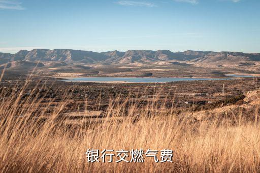北京銀行交燃氣費