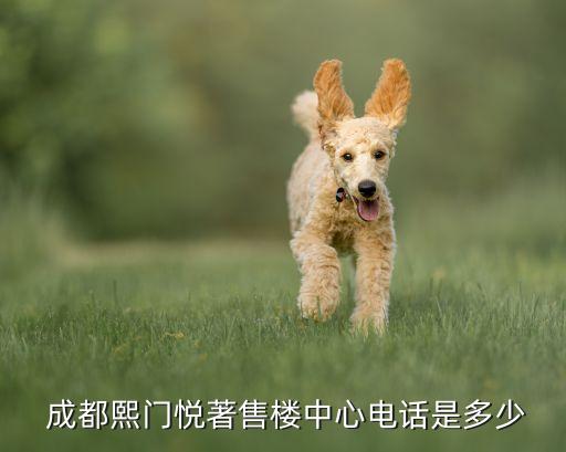  成都熙門悅著售樓中心電話是多少