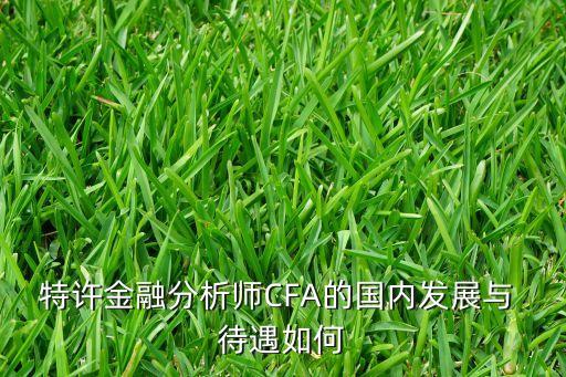 特許金融分析師CFA的國內(nèi)發(fā)展與 待遇如何
