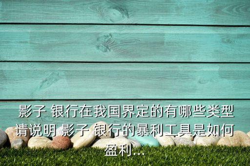  影子 銀行在我國界定的有哪些類型請說明 影子 銀行的暴利工具是如何盈利...