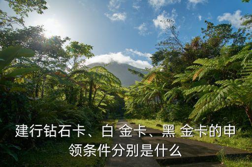 建行鉆石卡、白 金卡、黑 金卡的申領(lǐng)條件分別是什么