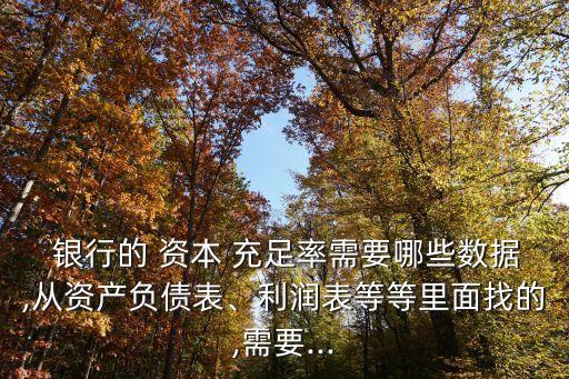  銀行的 資本 充足率需要哪些數(shù)據(jù),從資產(chǎn)負(fù)債表、利潤(rùn)表等等里面找的,需要...