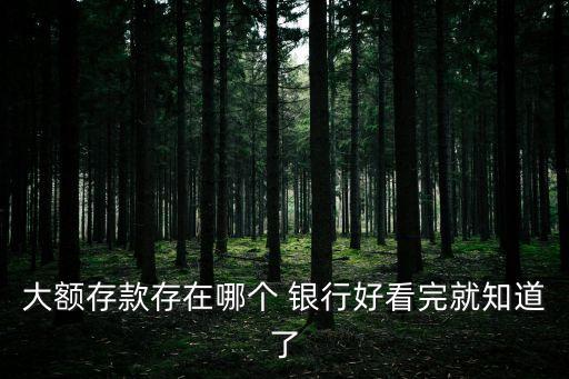 巨額資金存哪家國際銀行好