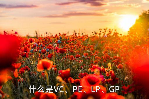 什么是VC、PE、LP、GP