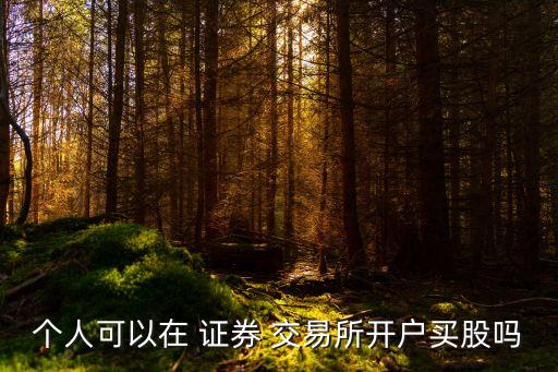 個(gè)人可以在 證券 交易所開(kāi)戶買(mǎi)股嗎