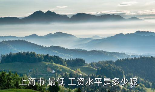  上海市 最低 工資水平是多少呢