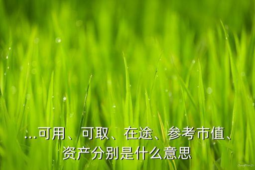 ...可用、可取、在途、參考市值、資產(chǎn)分別是什么意思