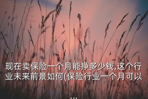 現(xiàn)在賣保險一個月能掙多少錢,這個行業(yè)未來前景如何(保險行業(yè)一個月可以...