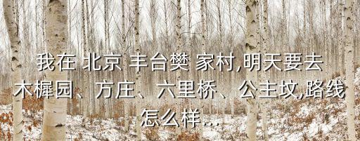 我在 北京 豐臺樊 家村,明天要去木樨園、方莊、六里橋、公主墳,路線怎么樣...
