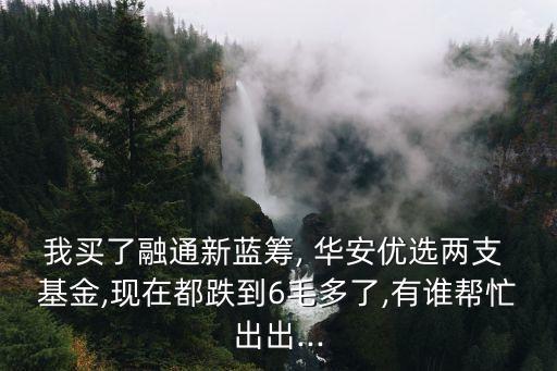 我買(mǎi)了融通新藍(lán)籌, 華安優(yōu)選兩支 基金,現(xiàn)在都跌到6毛多了,有誰(shuí)幫忙出出...