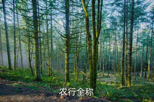 中國(guó)農(nóng)業(yè)銀行海外分支機(jī)構(gòu)