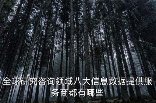 全球研究咨詢領域八大信息數(shù)據(jù)提供服務商都有哪些