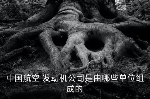 中國航空 發(fā)動機(jī)公司是由哪些單位組成的